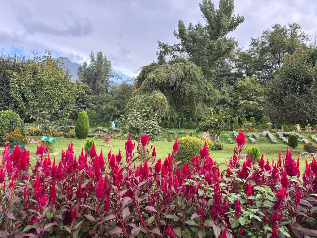 Bamboo Forest Exploration
