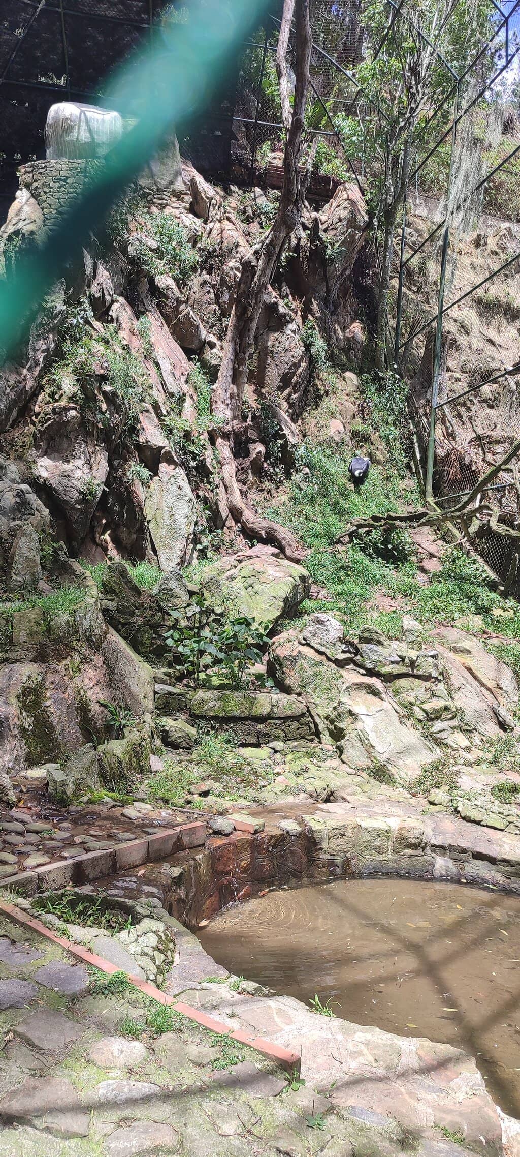Chorros de Milla Waterfall