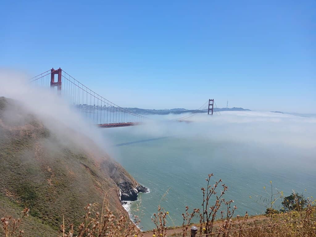 Vertical photo