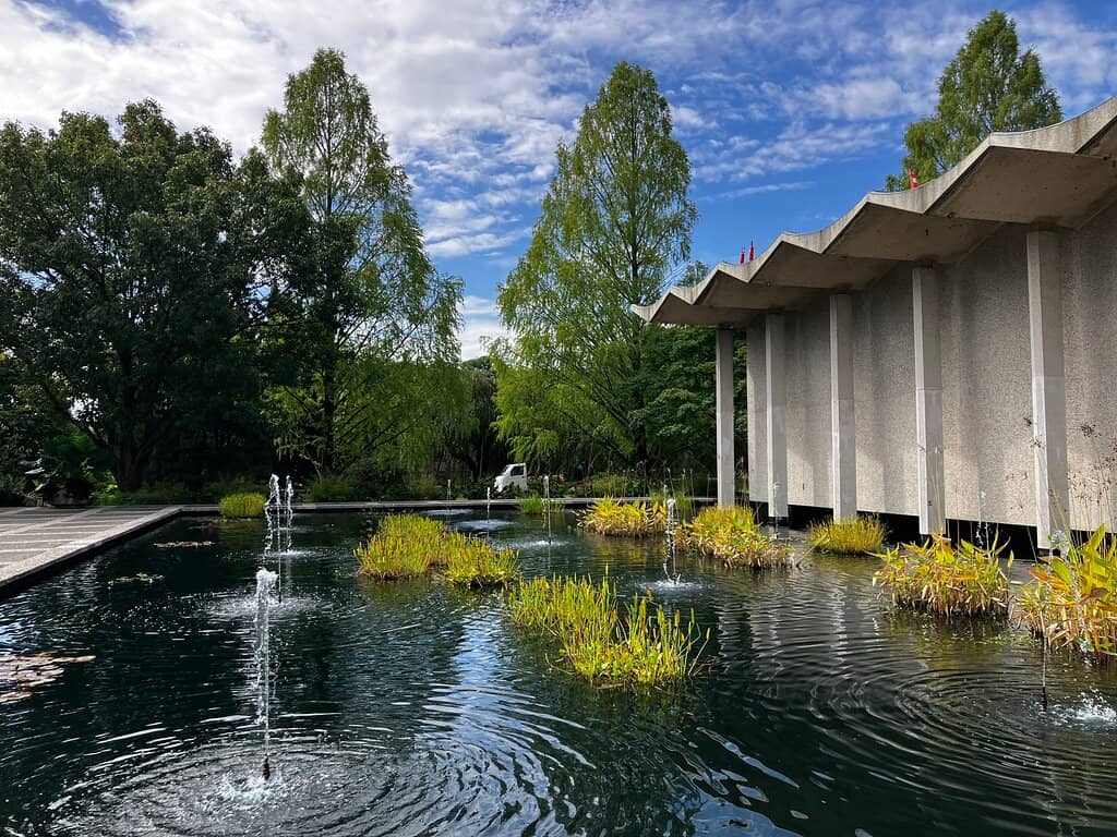 John Naka's Juniper Grove