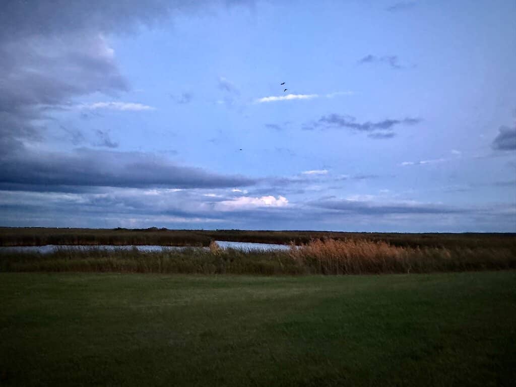 Marsh Trails