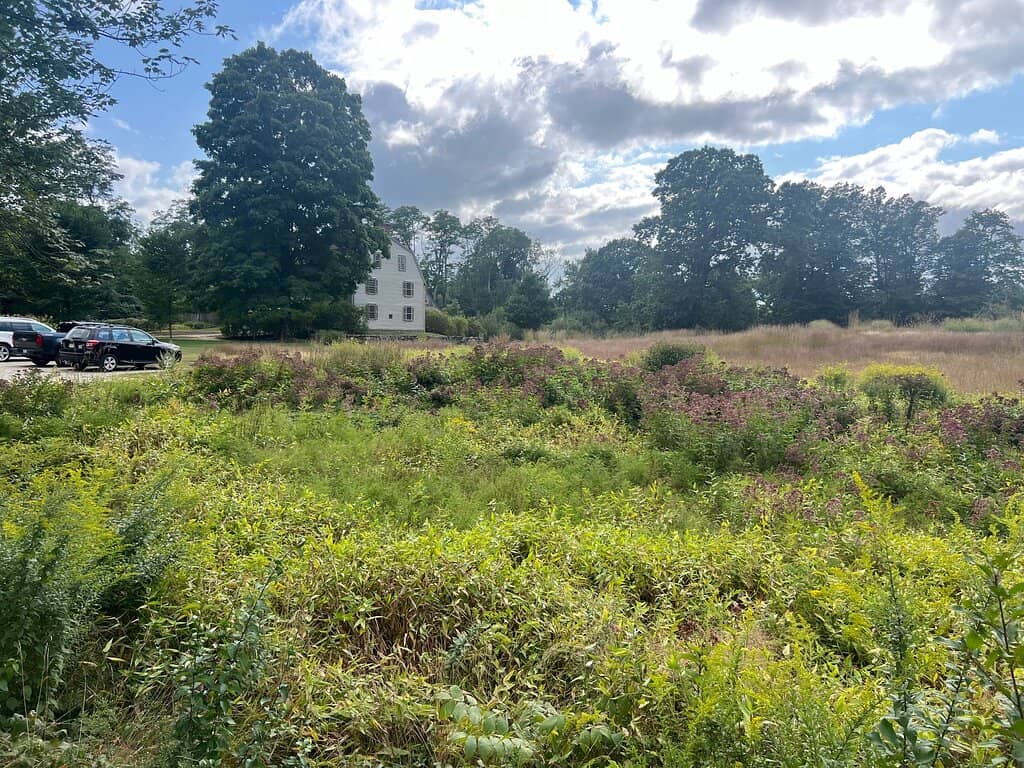 Visitor Center Exhibits