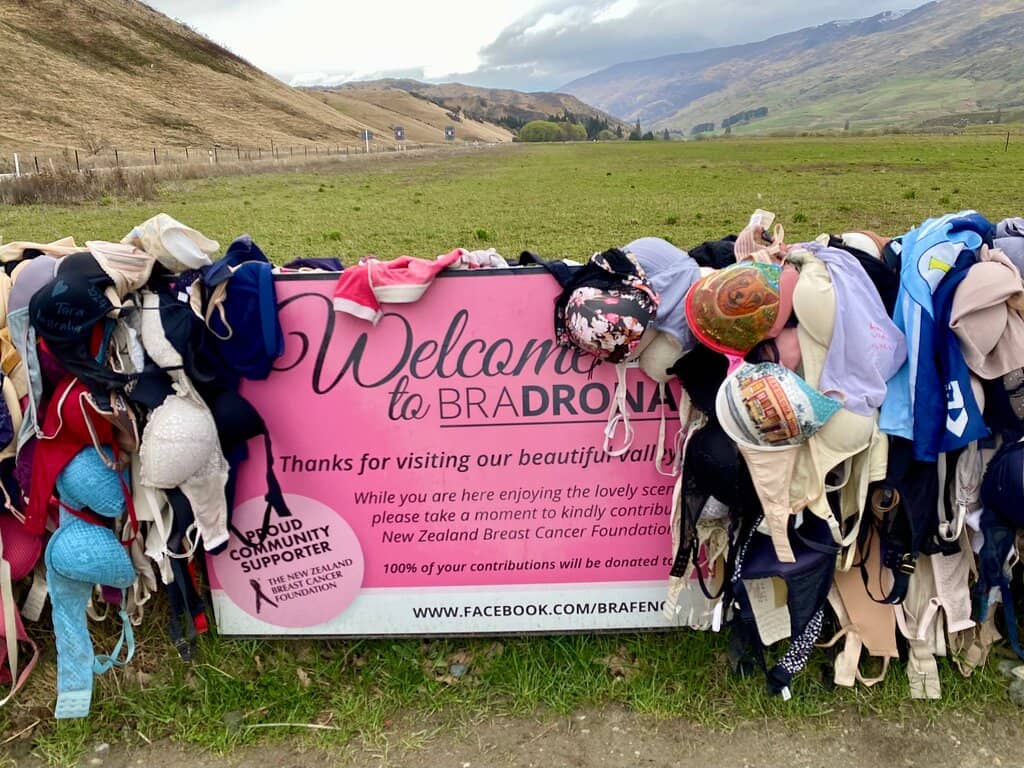 Community and Global Connection