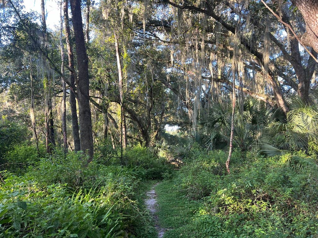 Scenic Hiking Trails