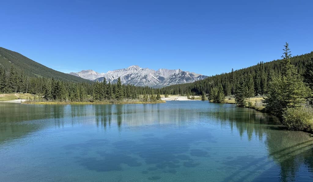 Rope Swing Adventure