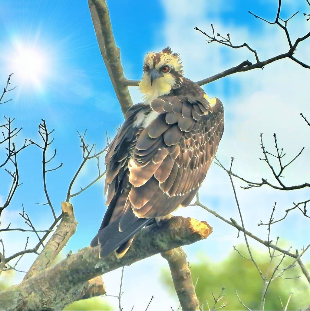 Lakefront Relaxation