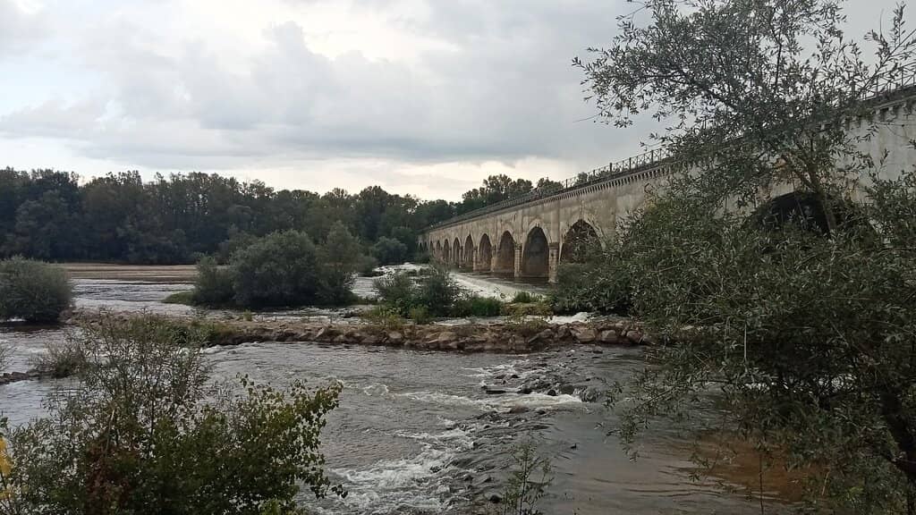 Riverbank Ambiance