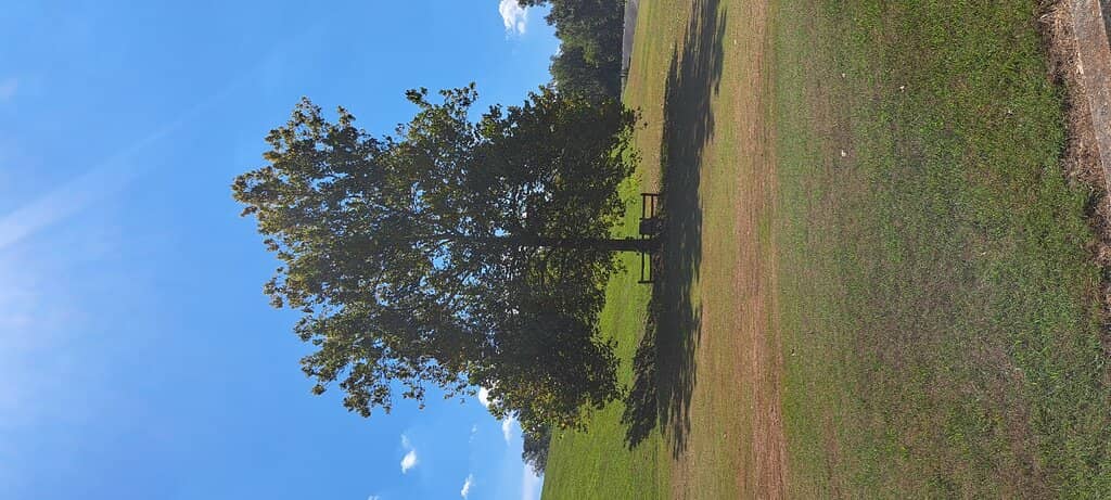 Hiking Trails