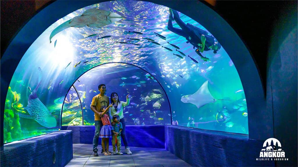 Oceanic Wonders