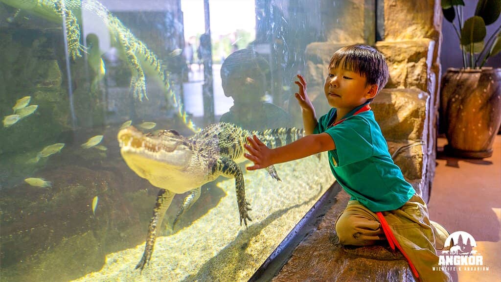 Tonle Sap Exhibit