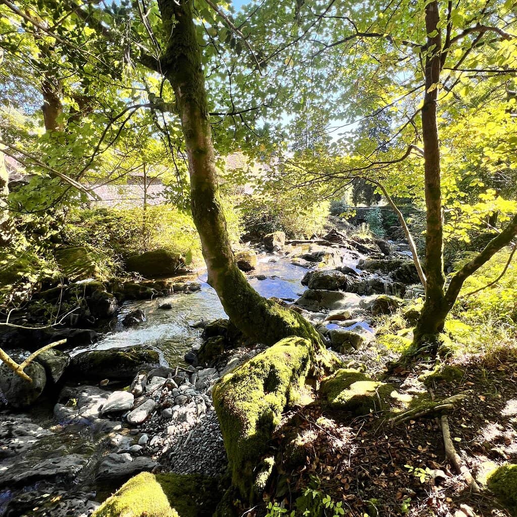Woodland Walks & Sculptures