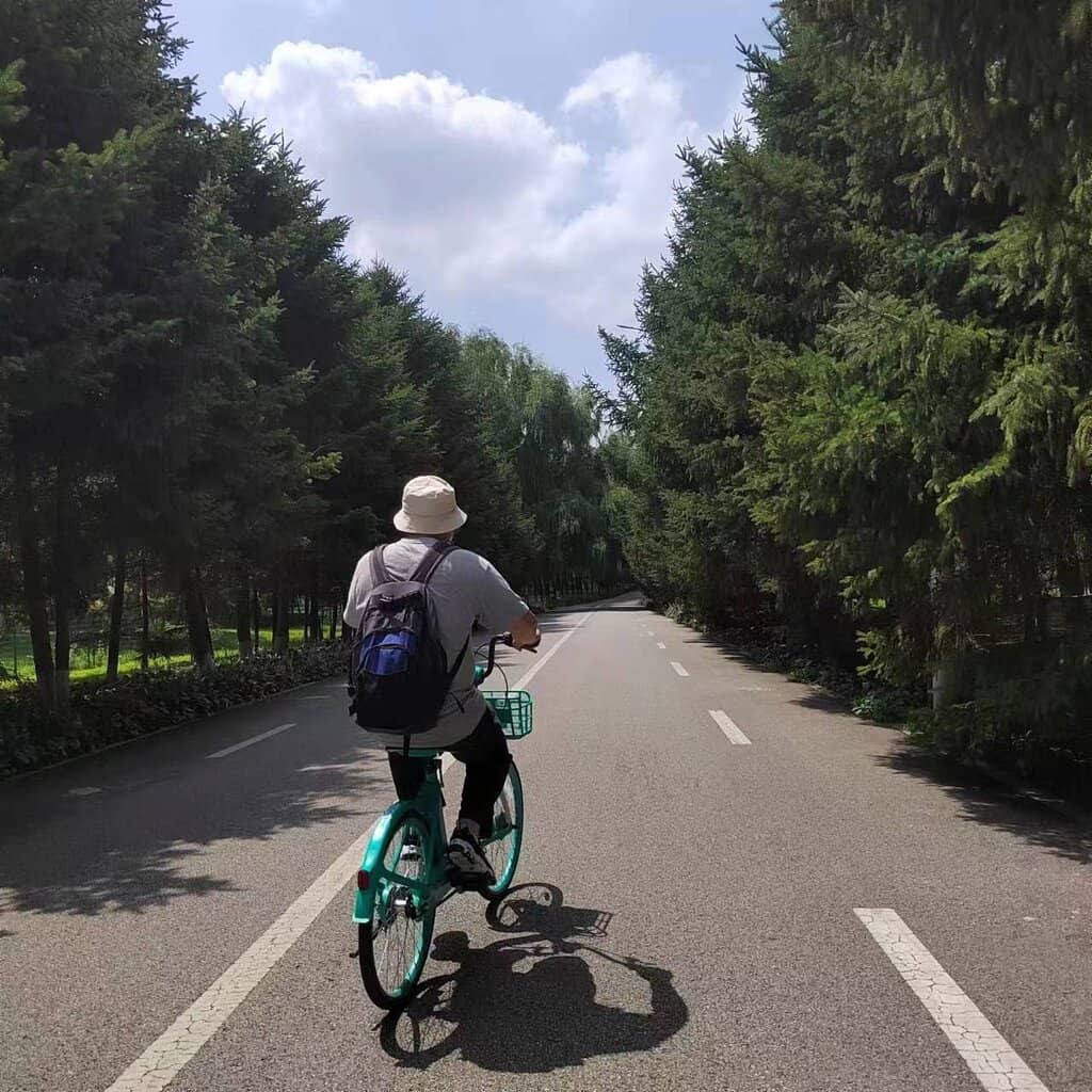 Modern Sports Facilities