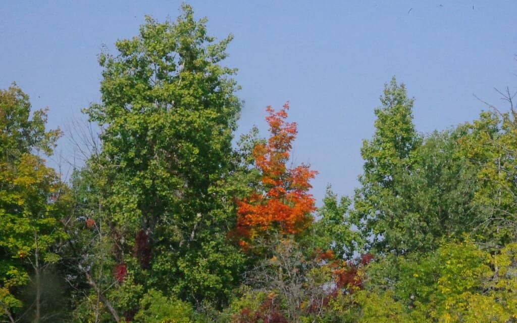 Champlain Bridge Overlook
