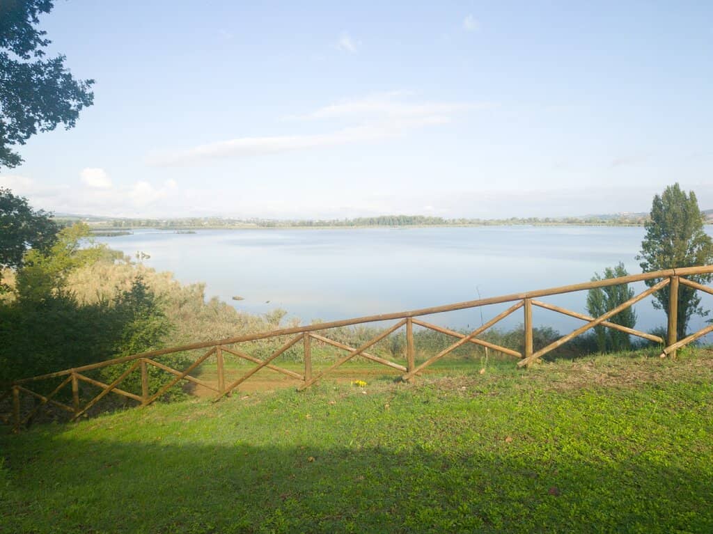 Birdwatching Opportunities