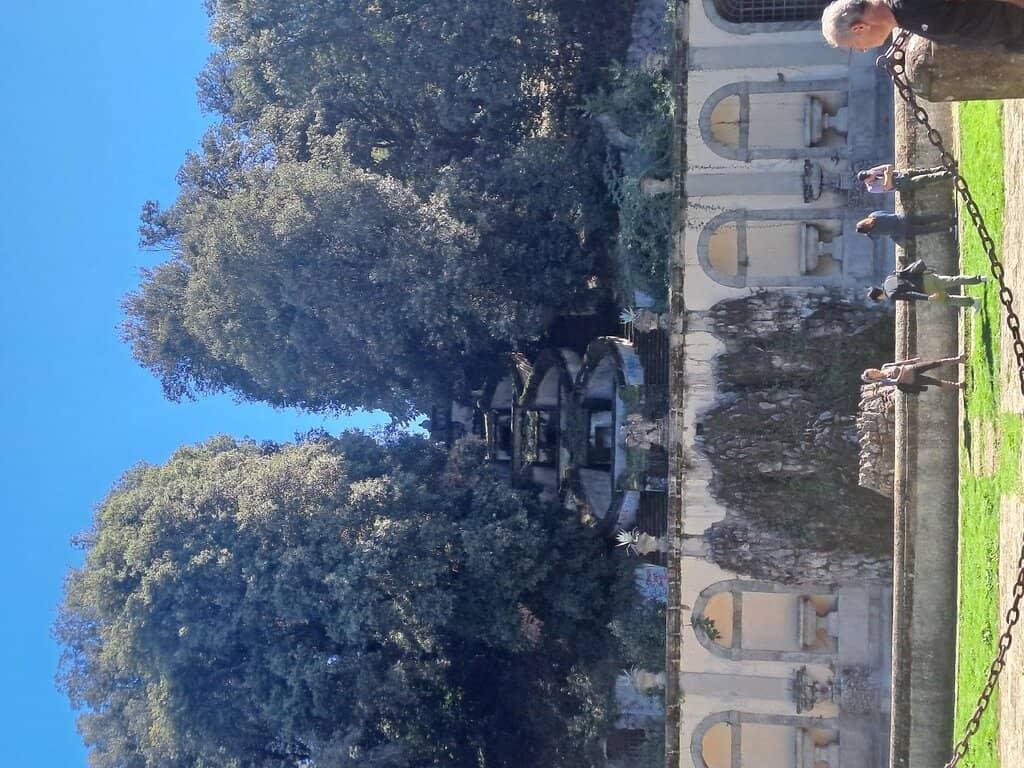 Vertical photo