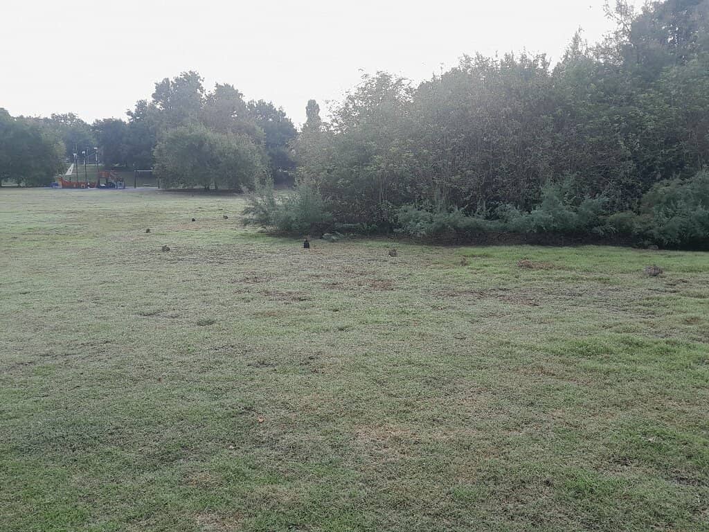 Collina dei Conigli
