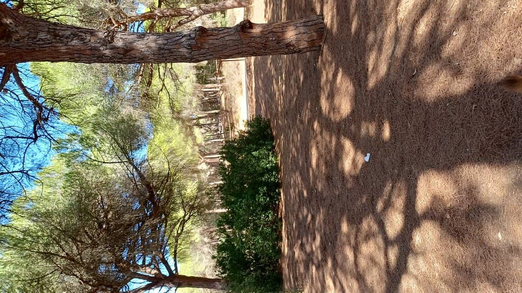 Marked Hiking Trails