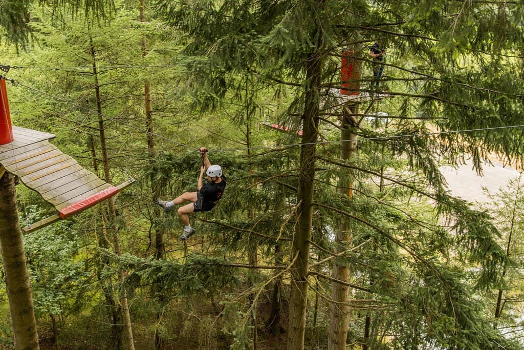 Fforest Coaster