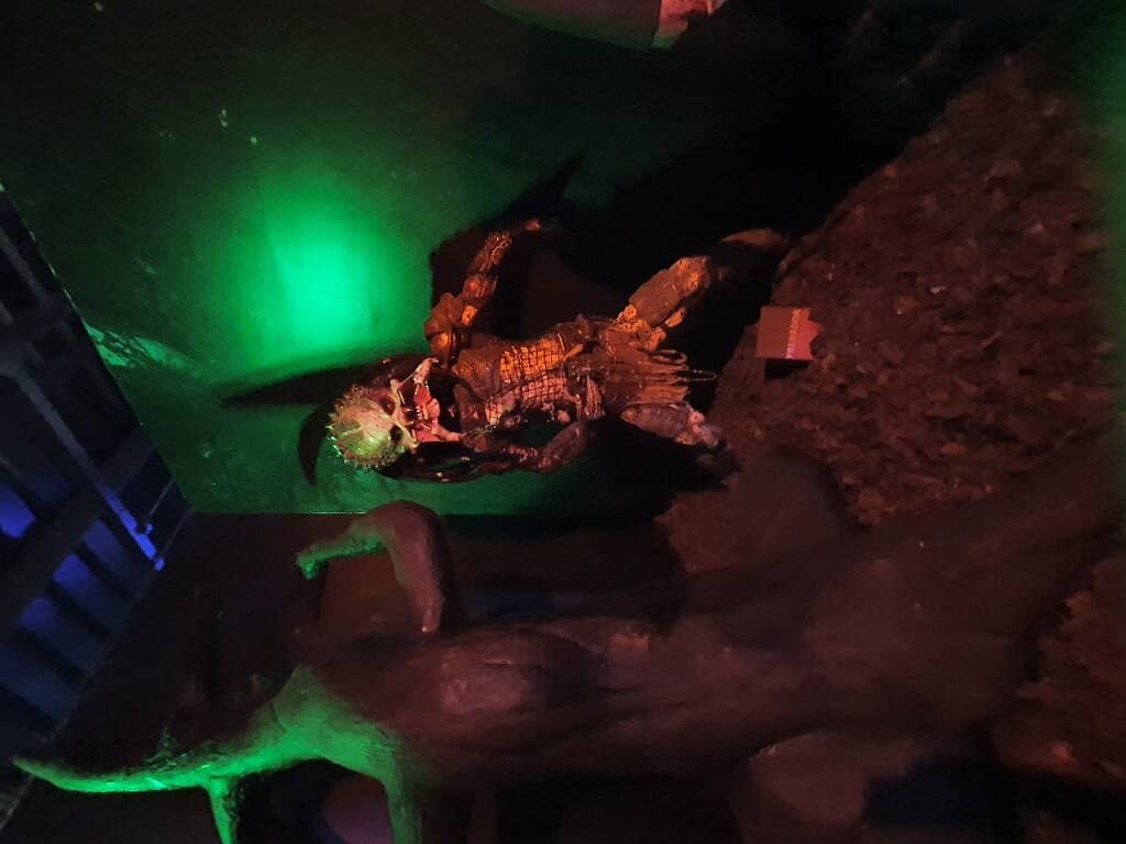 Themed Exhibits