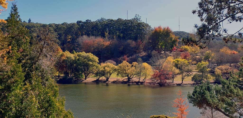 Picnic Spots by the Lake