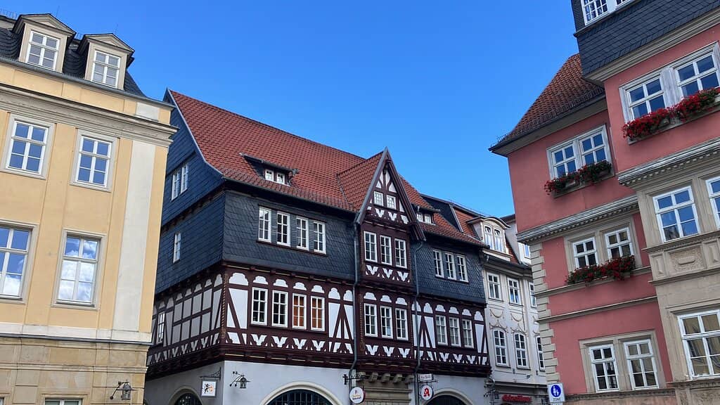 Giant Christmas Tree