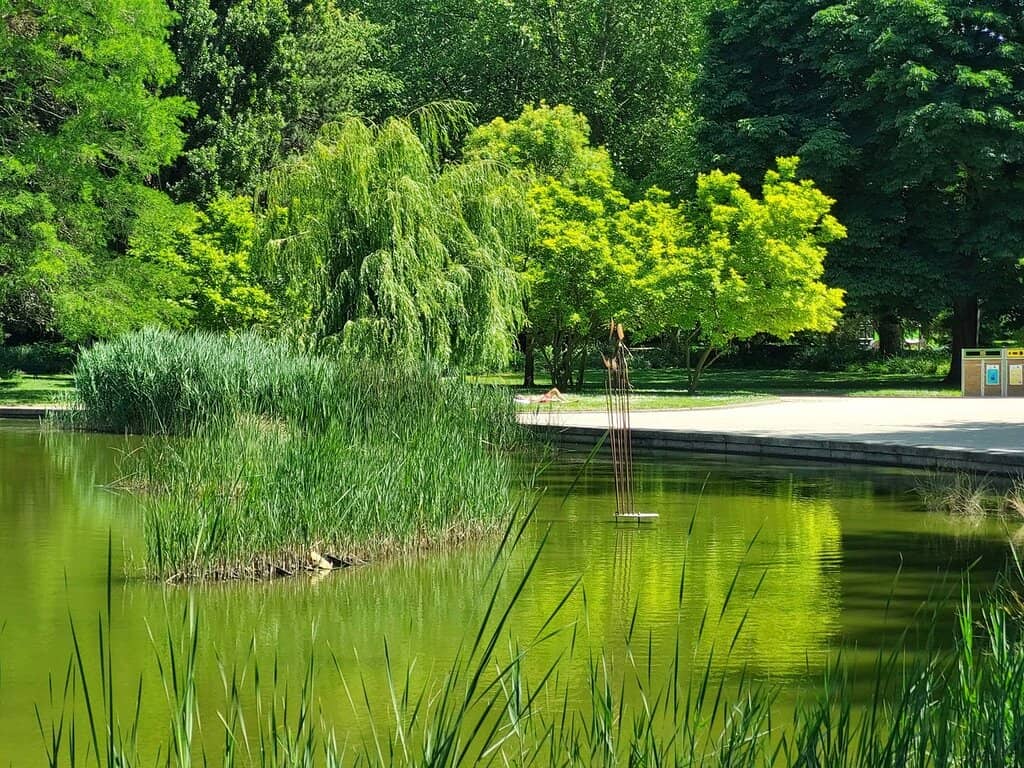 Lakeside Serenity