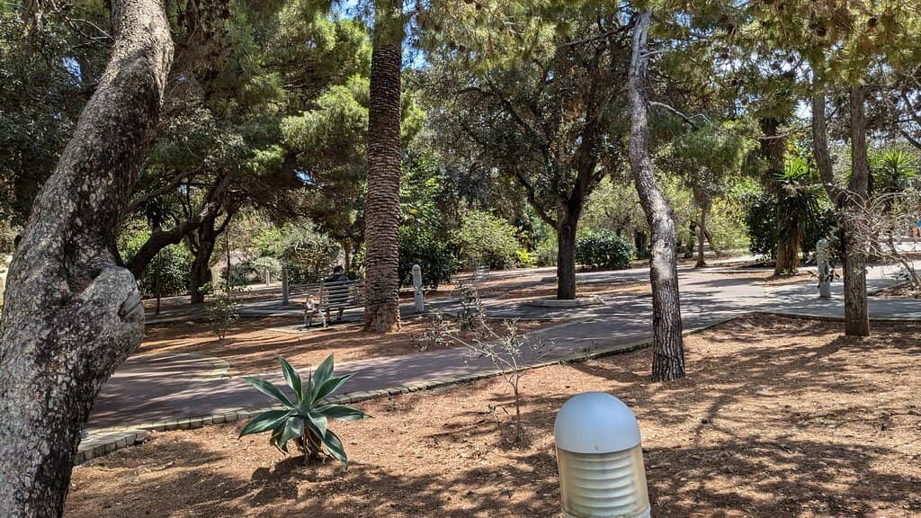 Green Oasis