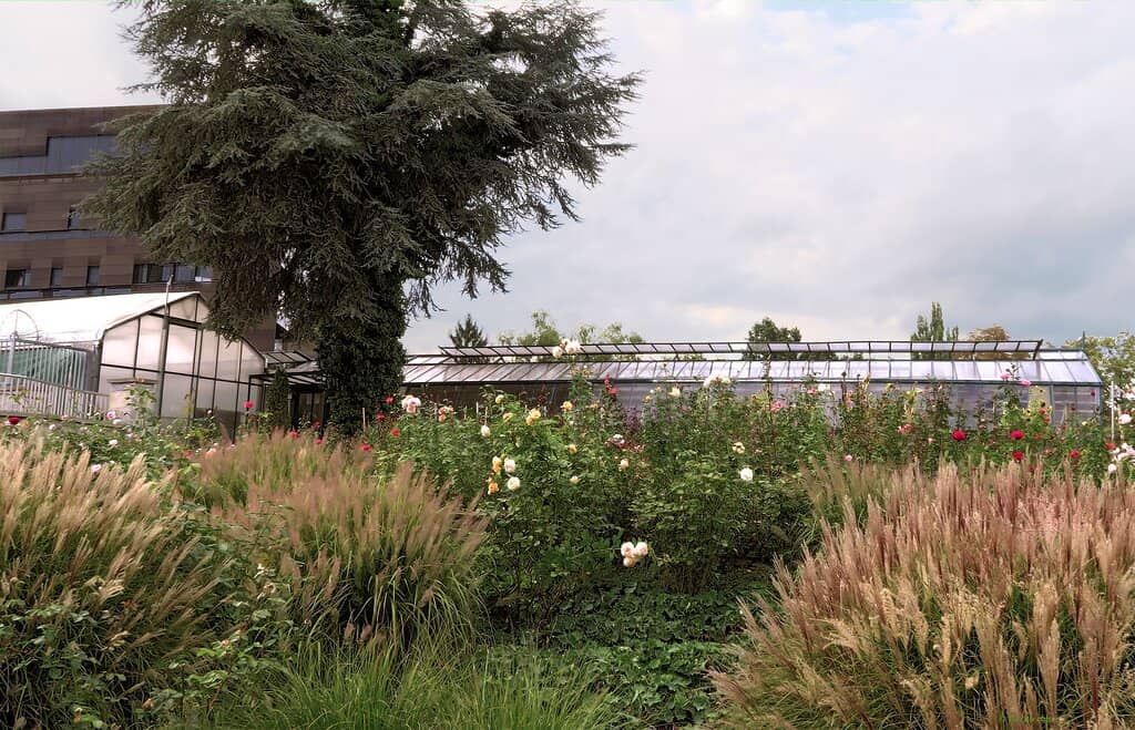 Butterfly House (Schmetterlinghaus)