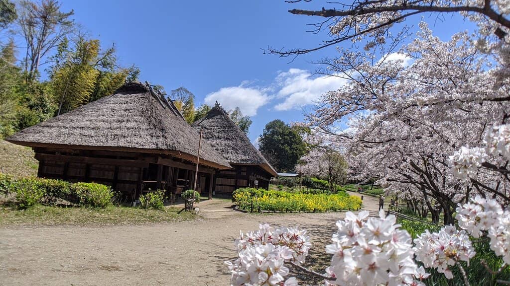 Hattori Ryokuchi Park Setting