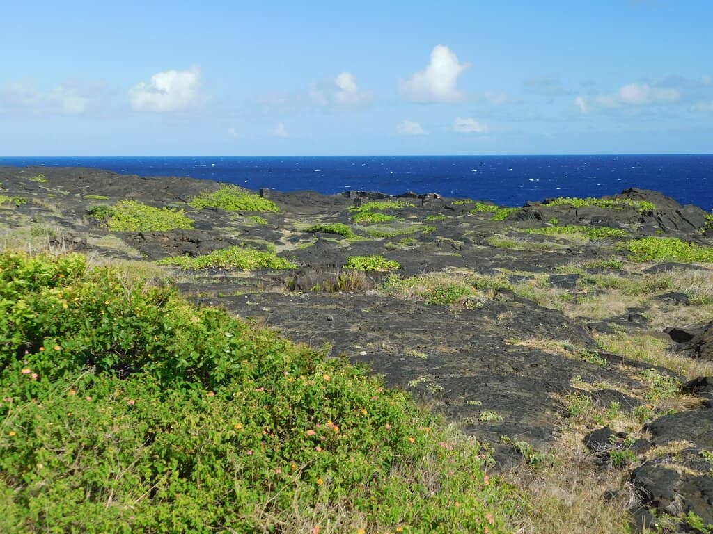 Petroglyph Trail