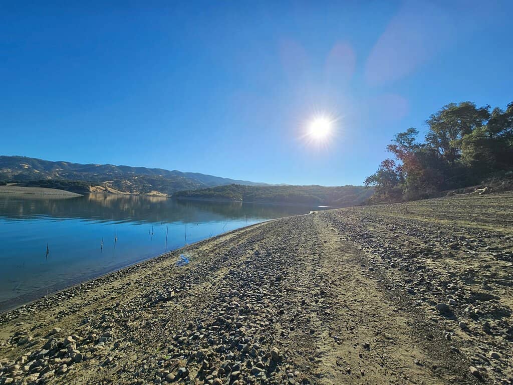 Montgomery Woods Redwood Grove