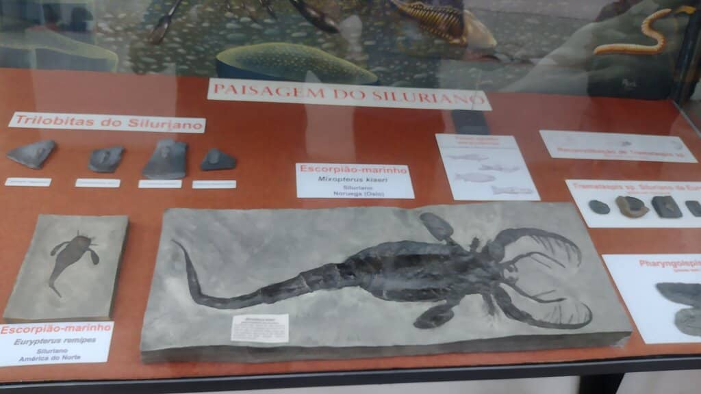 Local History Exhibits