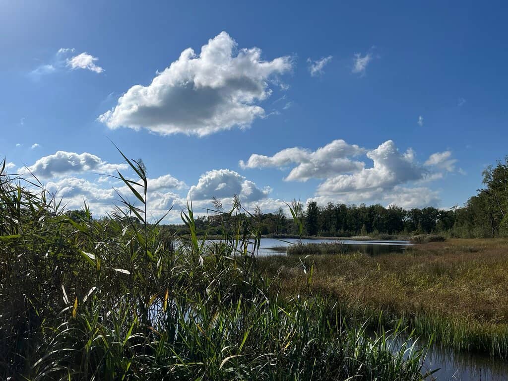 Bokrijk Castle