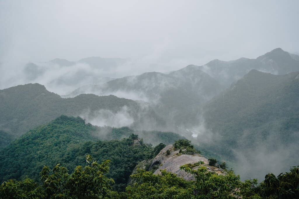 Scenic Hiking Trails
