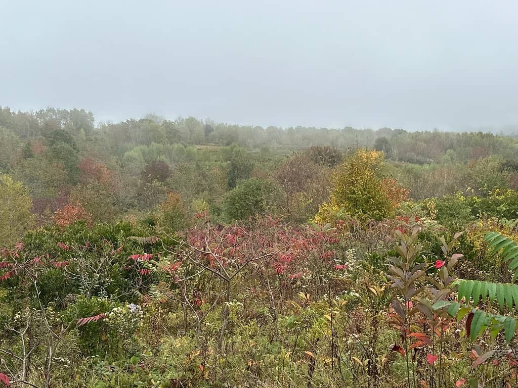 Panoramic Penobscot Bay Views