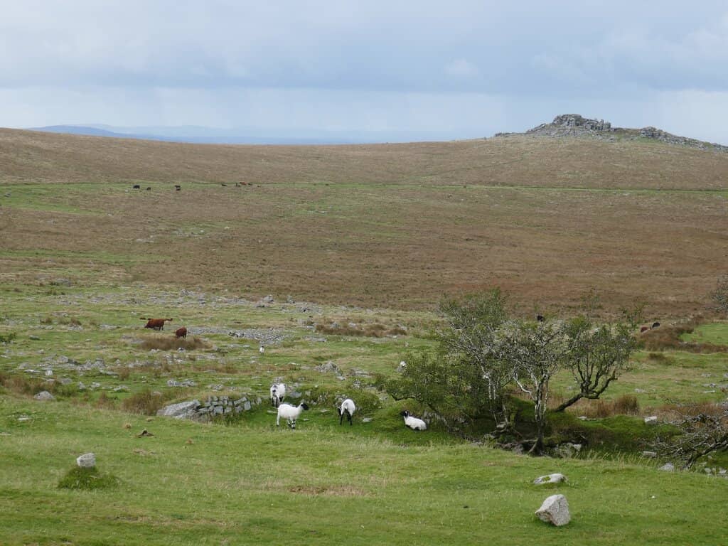 Dramatic Granite Formations