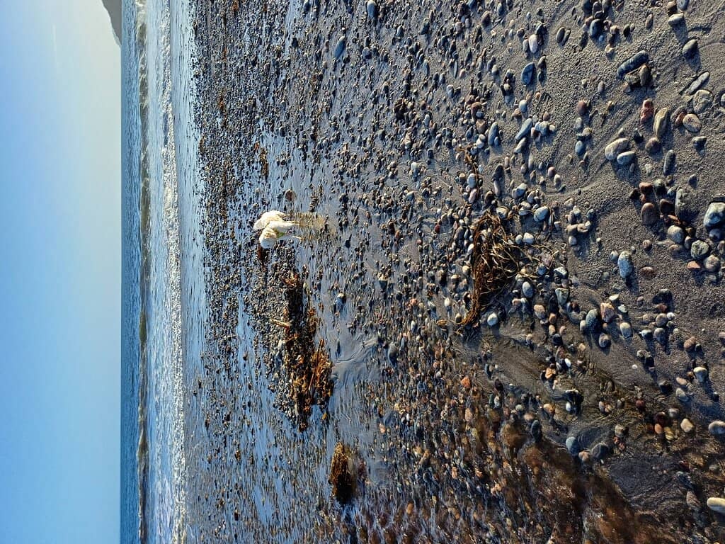 Coastal Path Walks