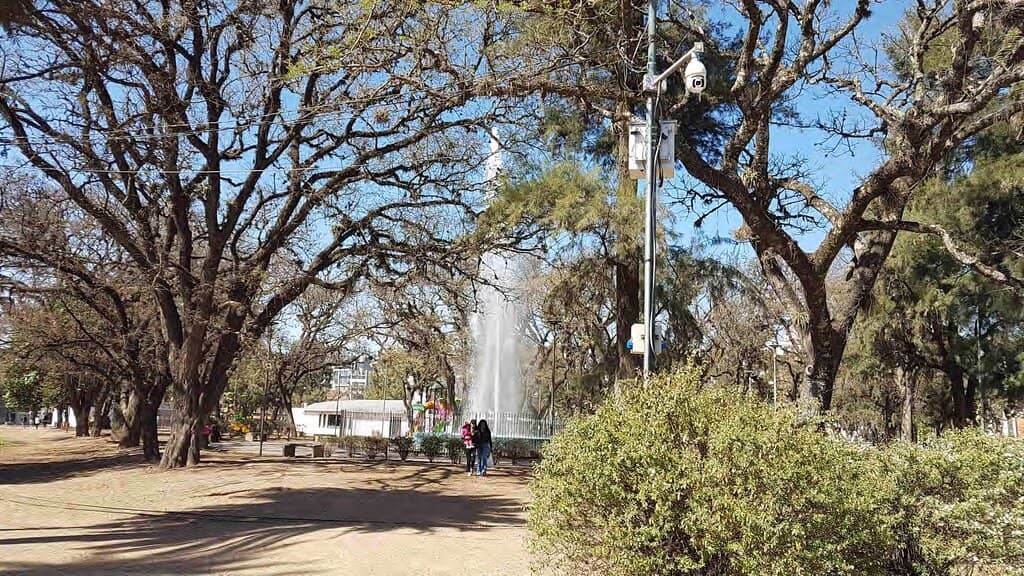 Lago del Parque (Park Lake)