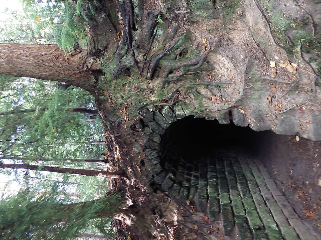 Vertical photo