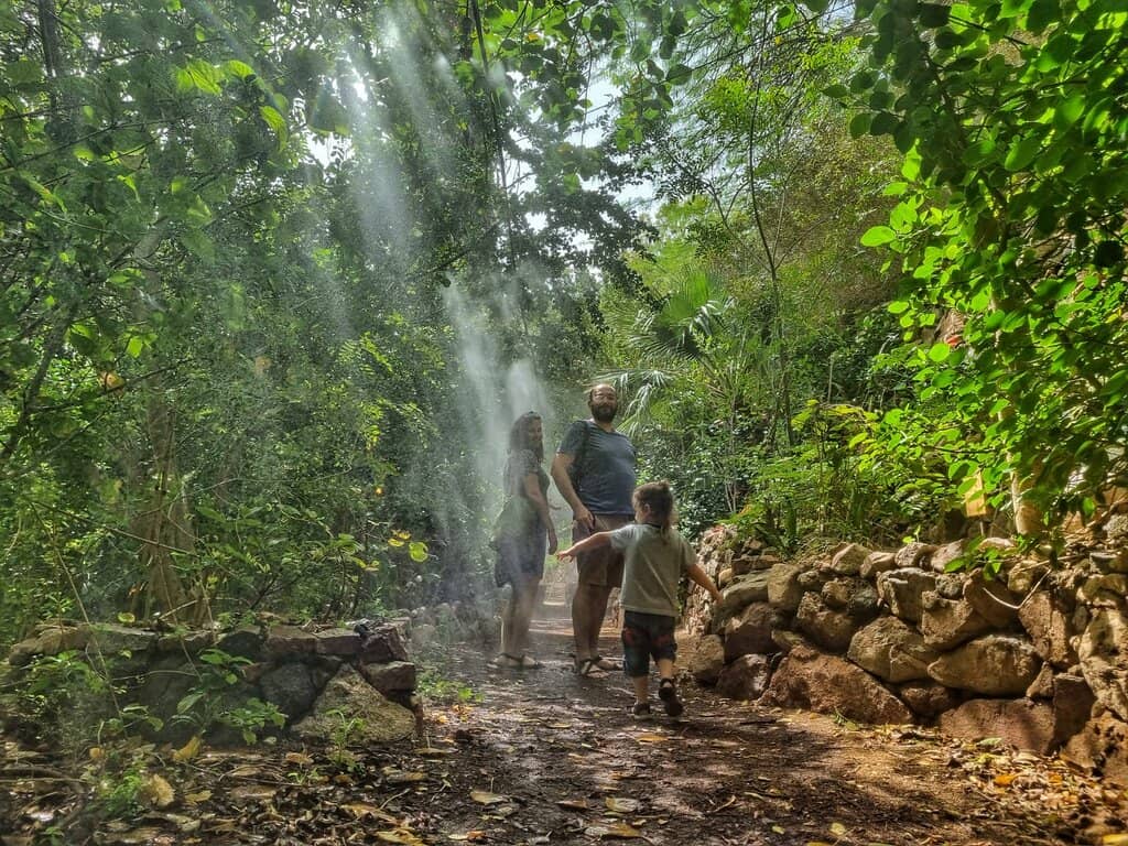 Peaceful Stream & Waterfalls