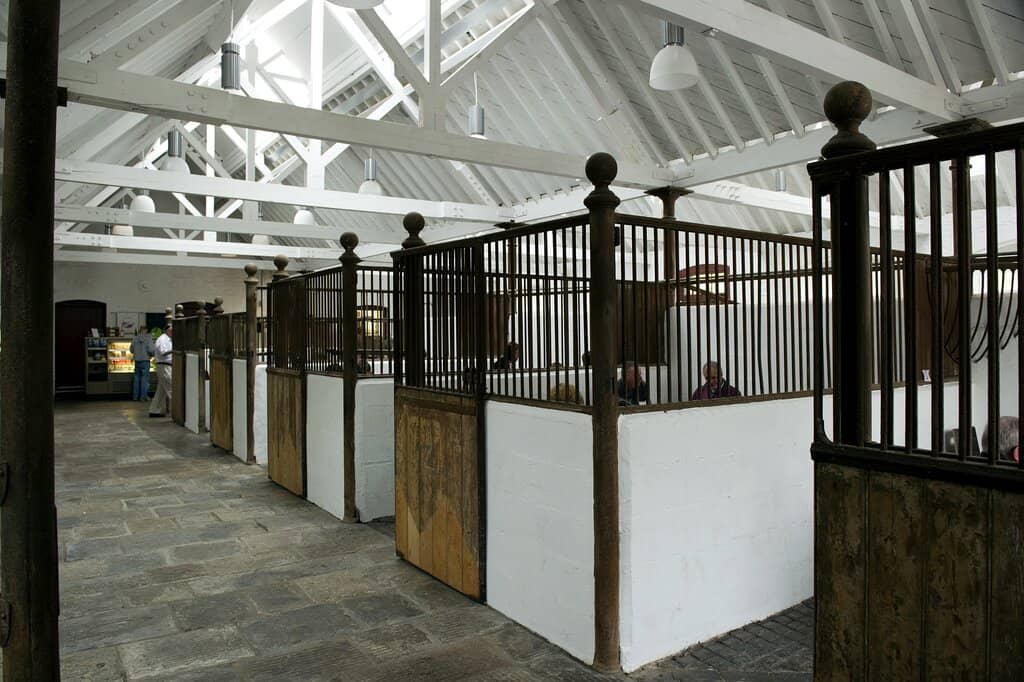 Expansive Parkland Walks