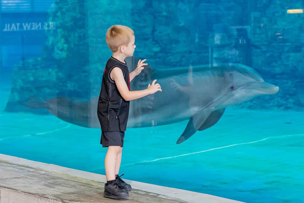 Behind-the-Scenes Hospital Tours