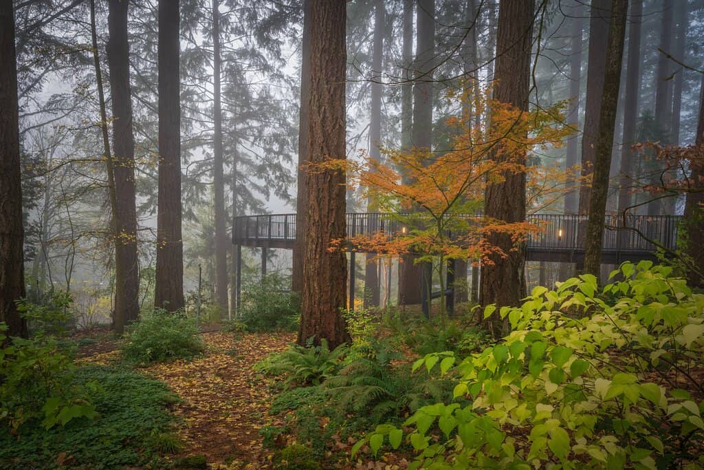 Manor House and Historic Buildings