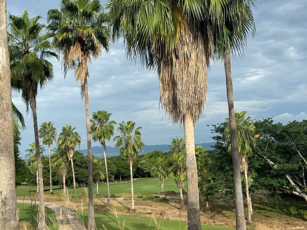 Nicklaus Course