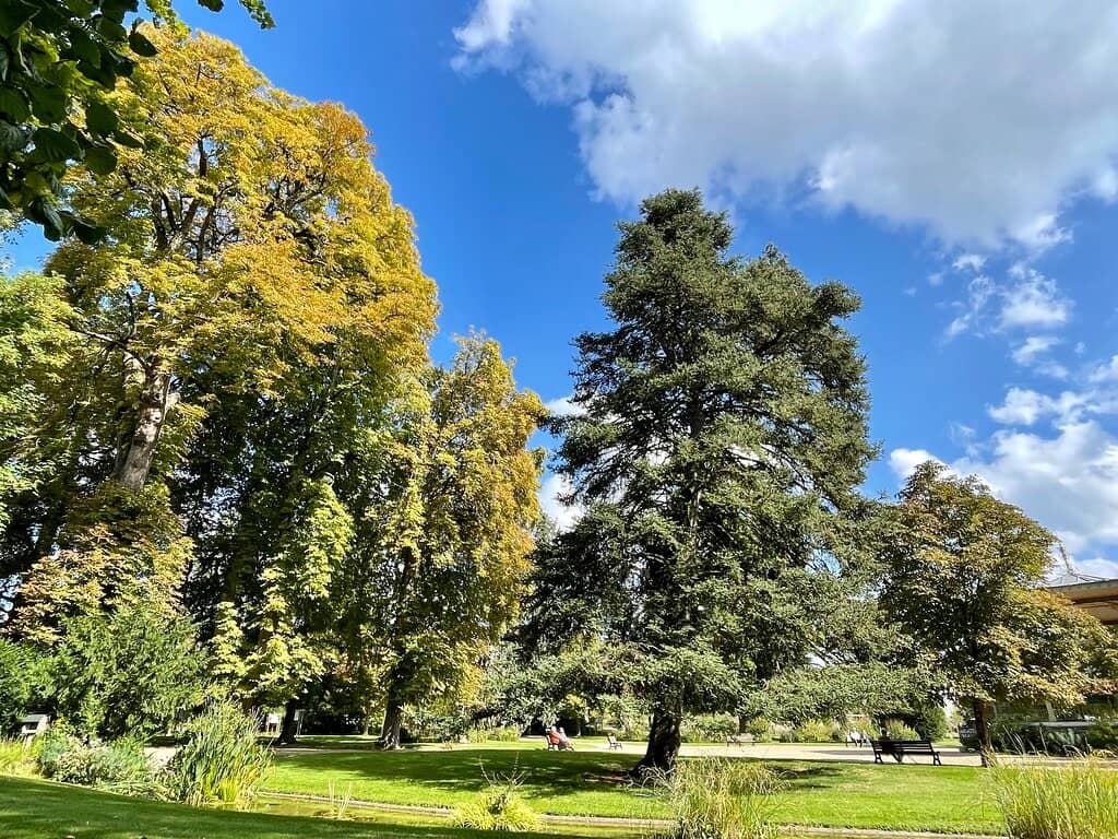 Children's Playground