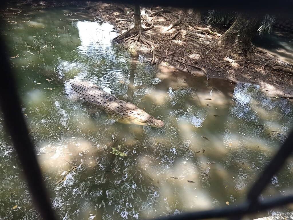 Reptile Encounters