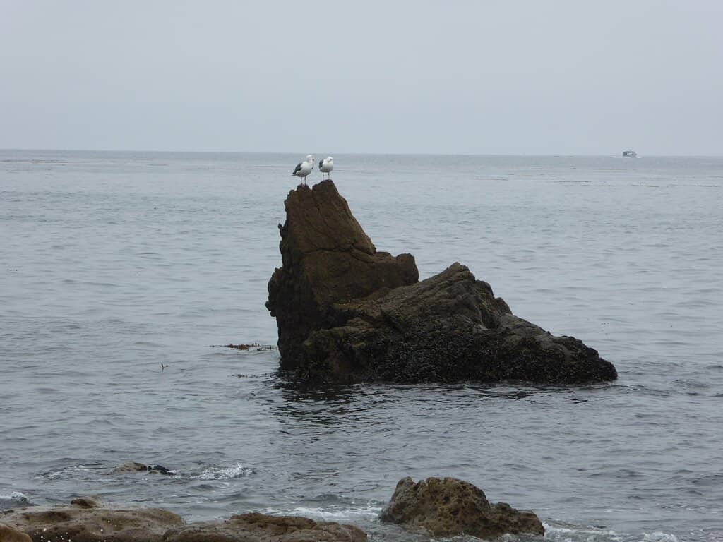 Tide Pools