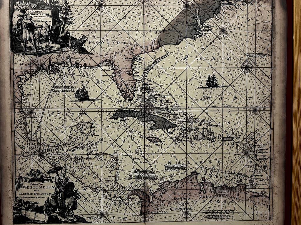 Marine Mammal & Ecology Displays