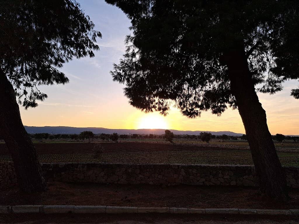 Below Sea Level Exhibit