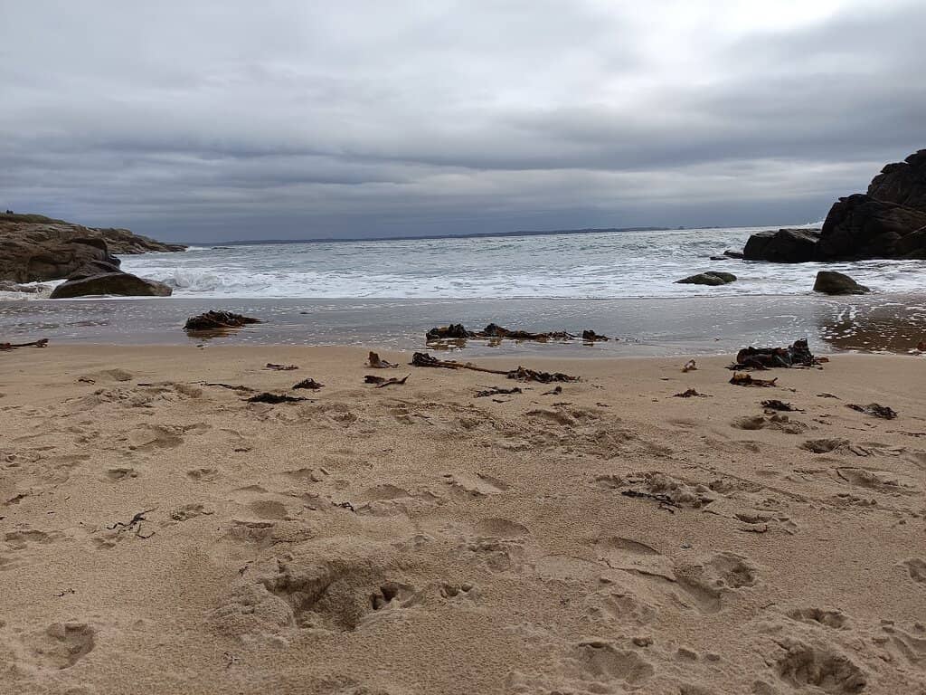 Surfing & Bodyboarding